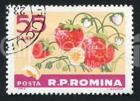 postage stamp