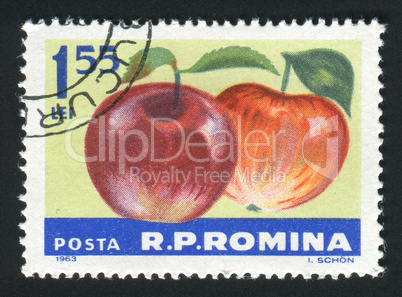 postage stamp