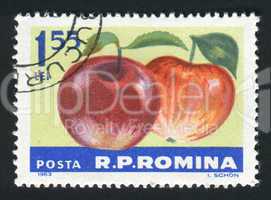 postage stamp