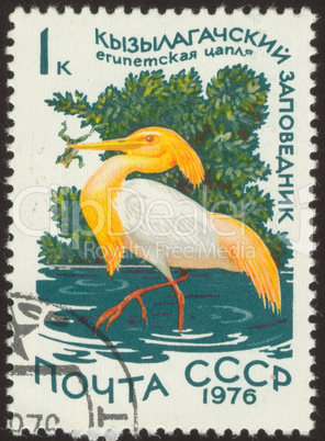 postage stamp