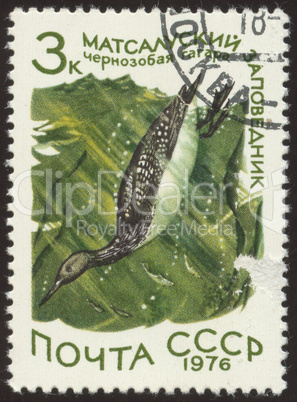 postage stamp