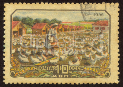 postage stamp