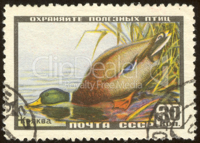 postage stamp