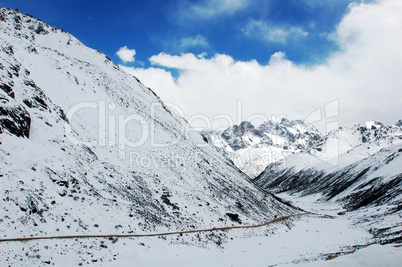 Landscape in winter