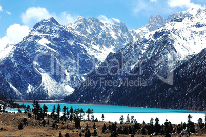 Landscape in winter