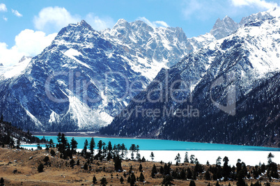 Landscape in winter