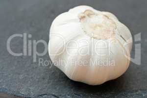 Knoblauch - Garlic