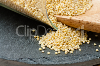 Hirse - Millet