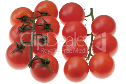 Tomaten - Tomatoes