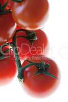 Tomaten - Tomatoes