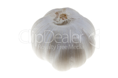 Knoblauch - Garlic