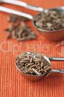 Kreuzkümmel - Cumin Seeds