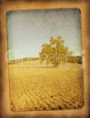 vintage postcard with classical tuscan view