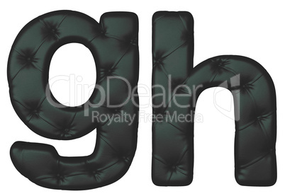 Luxury black leather font G H letters