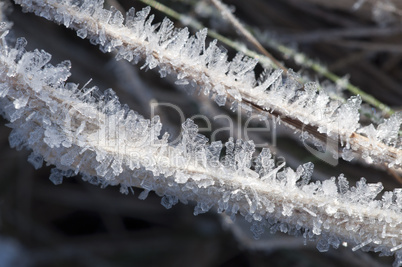 Ice crystals