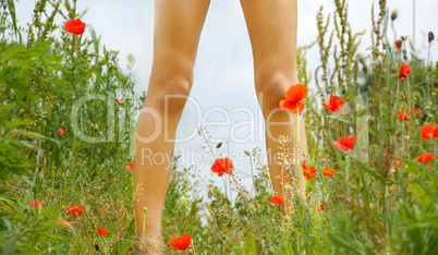 Legs on blooming meadow