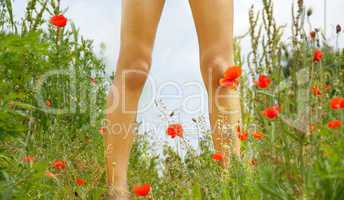 Legs on blooming meadow