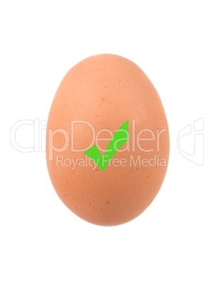 Egg