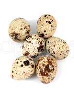 Quail Eggs