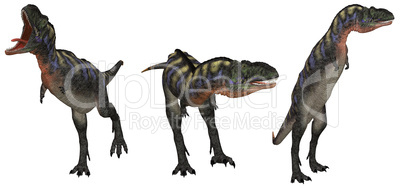 Aucasaurus