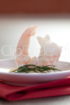 frischer Shrimp / fresh shrimp