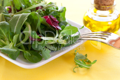 frischer Salat auf Teller / fresh salad on a plate