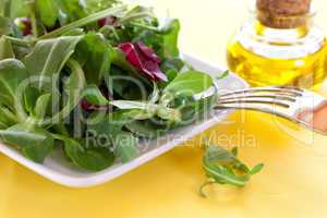 frischer Salat auf Teller / fresh salad on a plate