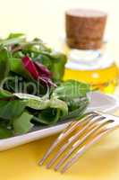 Salat auf Teller / salad on a plate