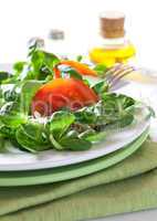 knackiger Salat / fresh green salad