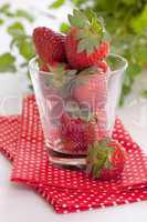 frische Erdbeeren / fresh strawberries