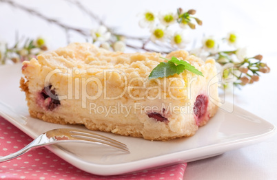 frischer Kuchen mit Kirsche / fresh cake with cherry
