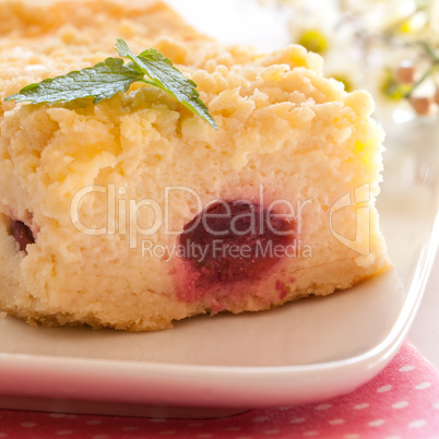 Quark Kirsch Kuchen / quark cherry cake