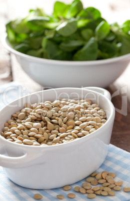 trockene Linsen / dry lentils