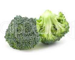 zwei Brokkoliröschen / two pieces of broccoli