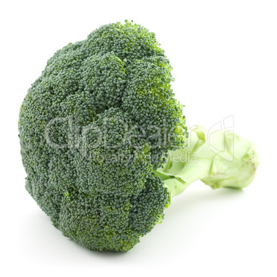 frischer Brokkoli / fresh broccoli