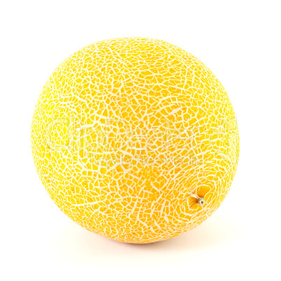 Galia Melone / galia melon