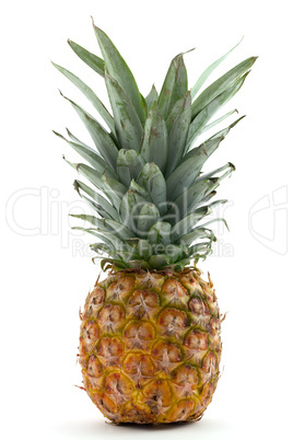 Ananas / pineapple