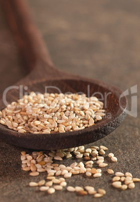 Sesamsamen auf Löffel / sesame seeds on wooden spoon