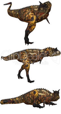 Carnotaurus