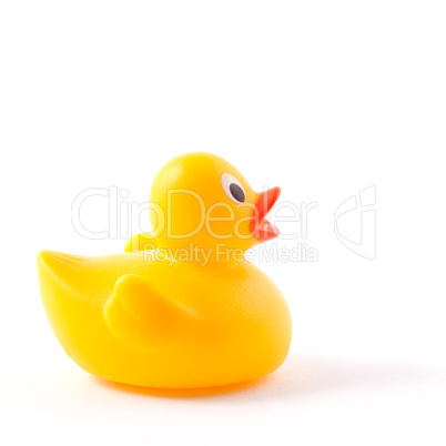 Gummiente / rubber duck