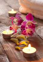 Kerzen und Orchidee / candles and orchid