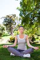Junge Frau macht Yoga im Park