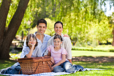 Family picnicking in the park