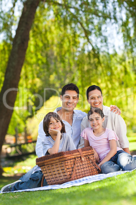 Family picnicking in the park