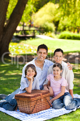 Family picnicking in the park