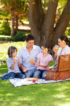 Lovely family picnicking in the park