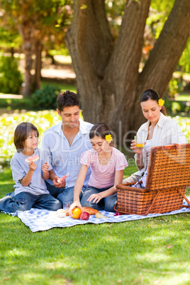 Lovely family picnicking in the park