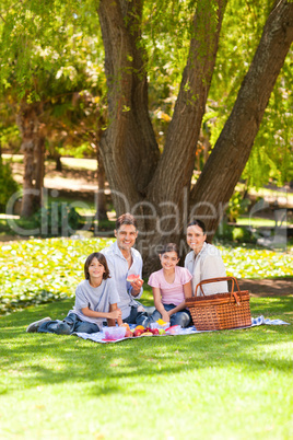 Joyful family picnicking in the park