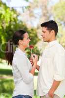 Happy man offering a rose to his girlfriend