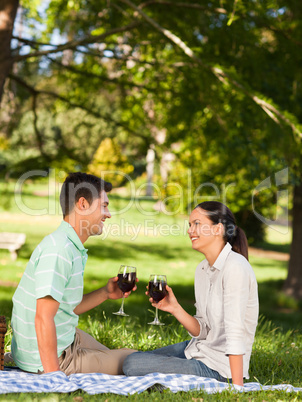 Young couple  picnicking in the park